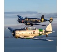 2planes_inflight_960799654